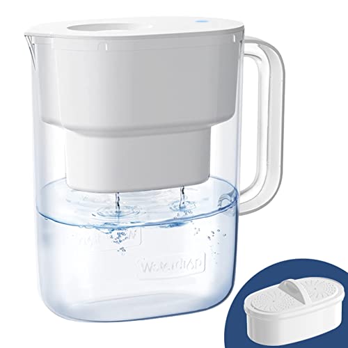Best Affordable Water Filter Pitcher